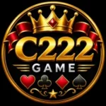C222 Game APK