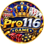 Pro116 Game